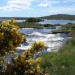 Connemara